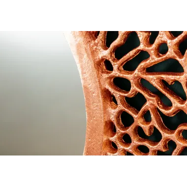 Invicta Lustro ścienne ABSTRACT LEAF miedziane 115cm / 41436