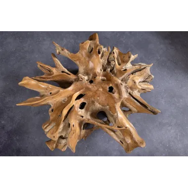 Invicta Stolik kawowy ROOT drewno teakowe 100cm / 44120