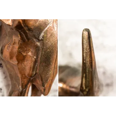 Invicta Dekoracja ścienna czaszka MATADOR 70cm / 39533