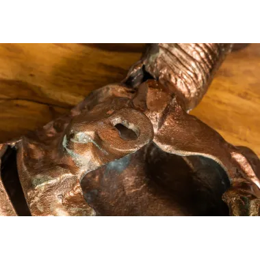 Invicta Dekoracja ścienna czaszka MATADOR 70cm / 39533