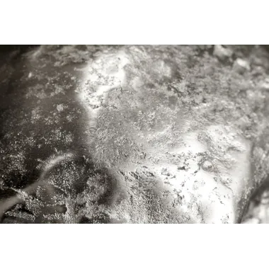 Invicta Dekoracja ścienna srebrna CZASZKA 40cm / 38383