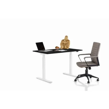 Kare Biurko z regulacją wysokości SMART WHITE BLACK 120 x 70 - 120 x 70cm / 85120