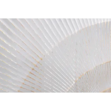 Invicta Komoda GOLDEN SUNSET white wysoka 95 x 140 x 42cm / 48409