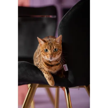 Kare Krzesło VIVA czarny 50 x 81 x 58cm / 86067