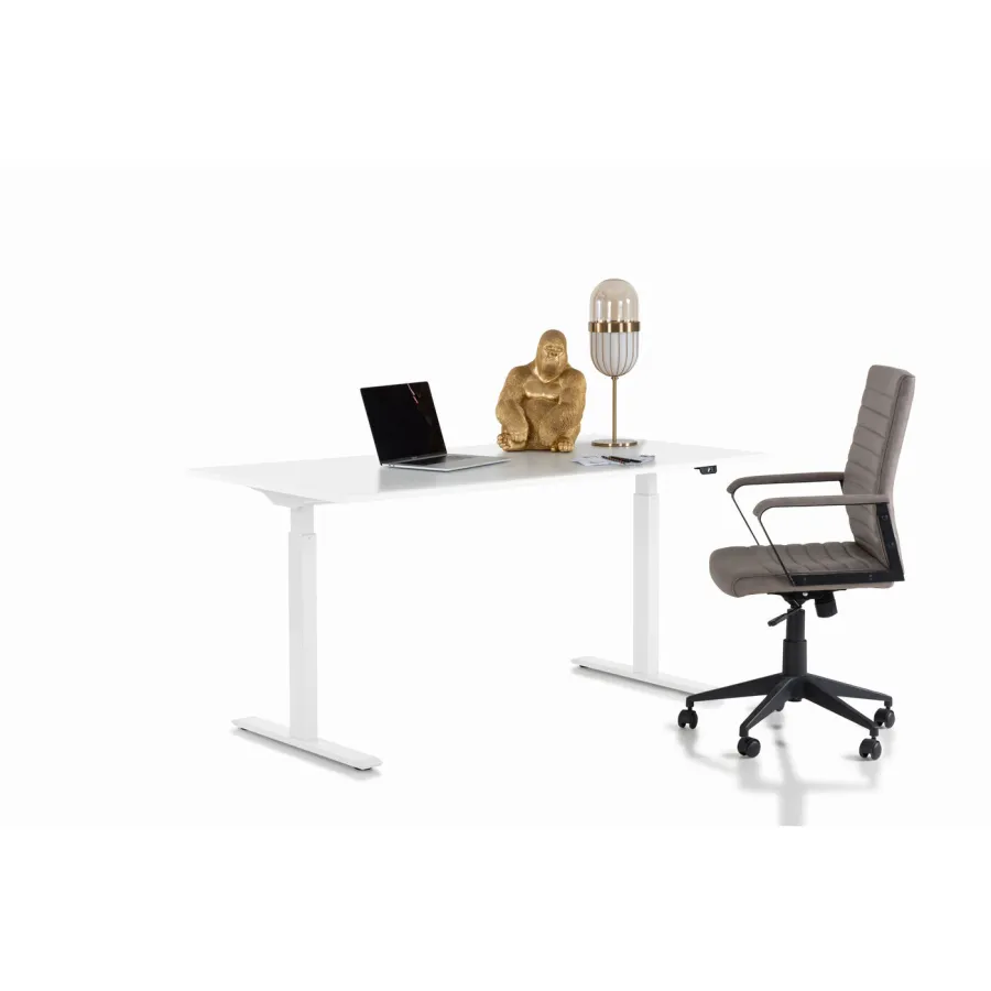 Kare Biurko z regulacją wysokości SMART WHITE WHITE 120 x 70 - 120 x 60cm / 85121