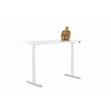 Kare Biurko z regulacją wysokości SMART WHITE WHITE 120 x 70 - 120 x 60cm / 85121